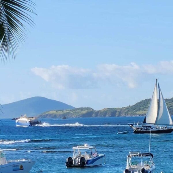 Rate Changes and Private vs. Shared Trips